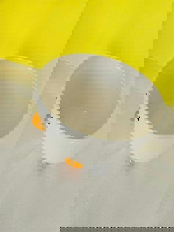 Quackers & Oats – Duck Cereal & Soup Bowl