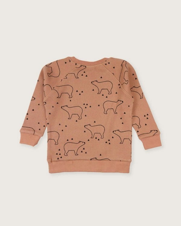organic cotton Orange Sketch Bear Print Sweatshirt - image 5