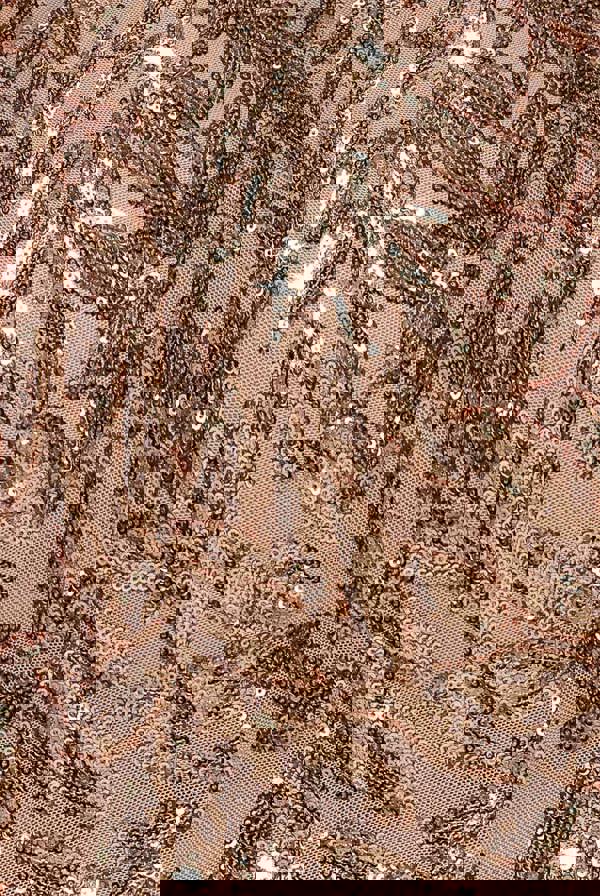 Sequin Leaf Long Sleeve Maxi Dress - Gold DR4359