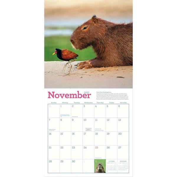 Capybara Calendar 2027, Wall Calendars, Month To View, Animals, Gift