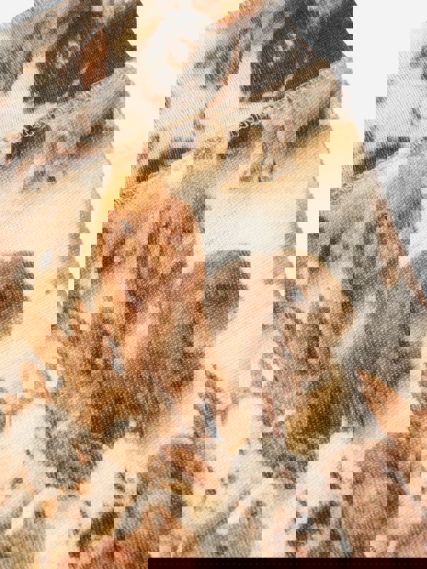 Molo Kids Rabbit Leggings in White