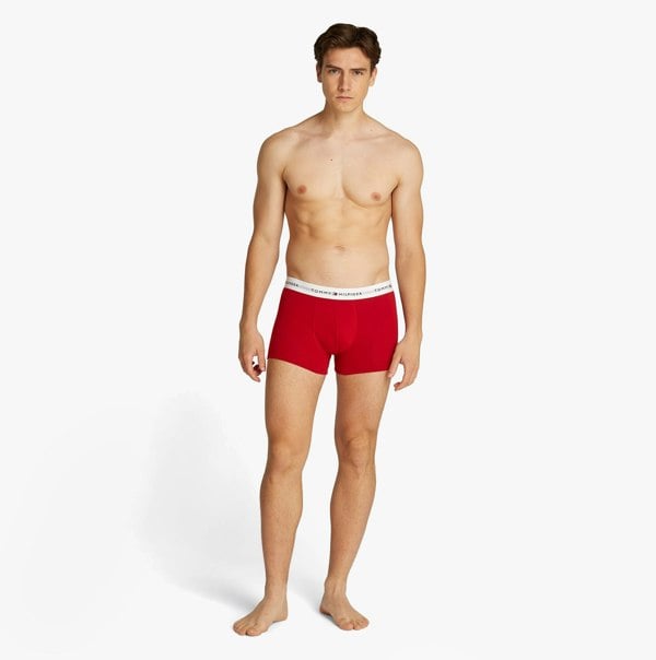Tommy Hilfiger 3 Pack Mens Logo Waistband Trunks Multicoloured