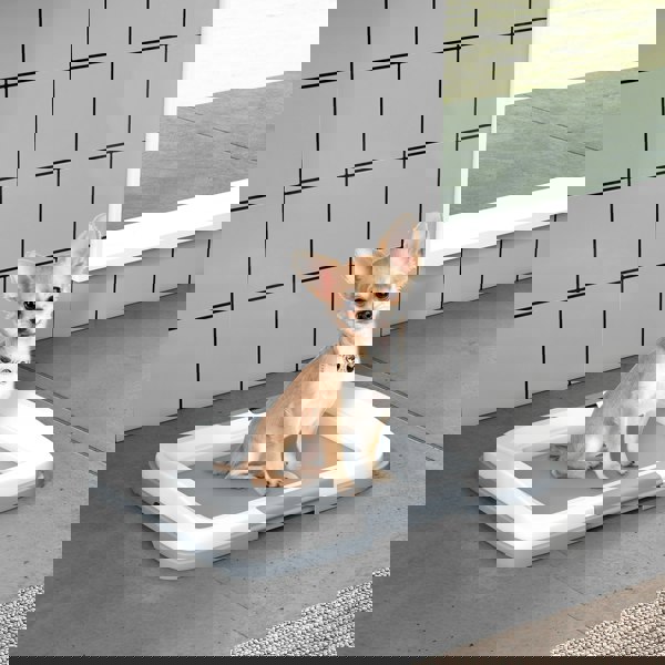 D07-050V00GY