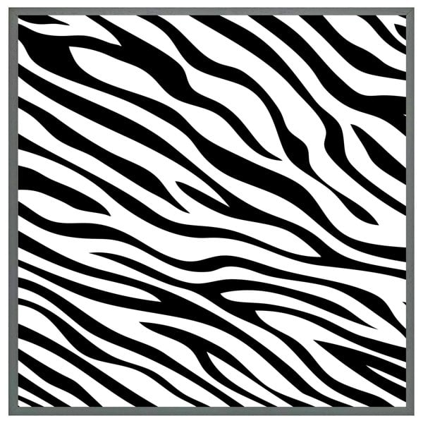 Benjamin Tate Design Zebra print (picture Frame)