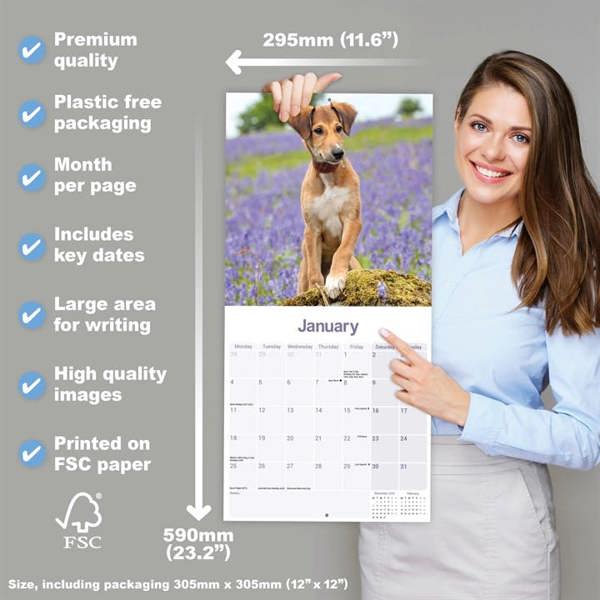 Lurcher Calendar 2027, Wall Calendars, Month To View, Dogs, Gift