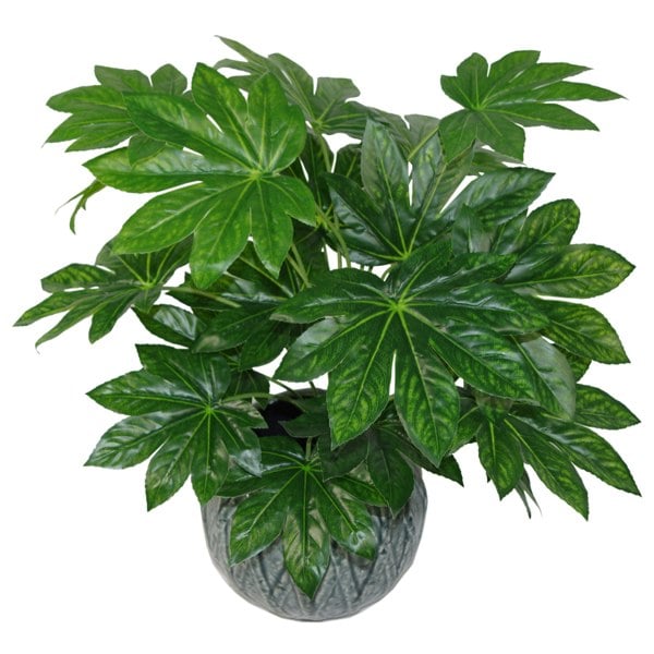 Leaf 60cm Artificial Japanese Aralia Plant Evergreen