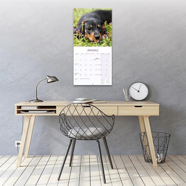 Dachshund Puppies Calendar 2027, Wall Calendars, Month To View, Dogs, Gift