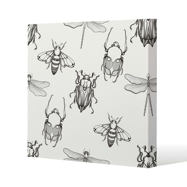 Benjamin Tate Design Sketch of Scarab Beetle, May bug, Bee and Dragonfly Slim Style Canvas Print  30x30cm , 15mm Slim Real wood.