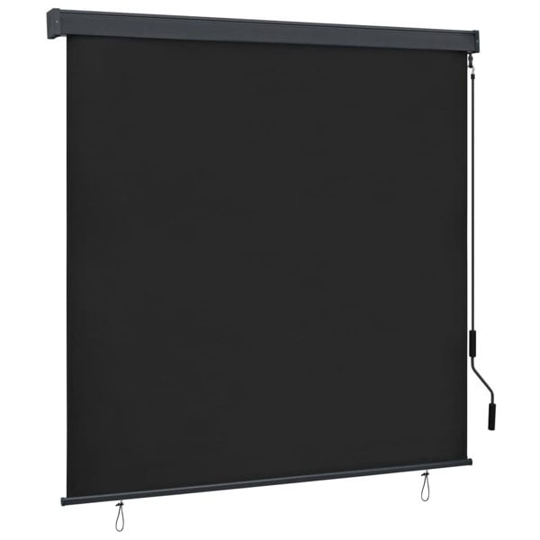 Berkfield Outdoor Roller Blind 160x250 cm Anthracite