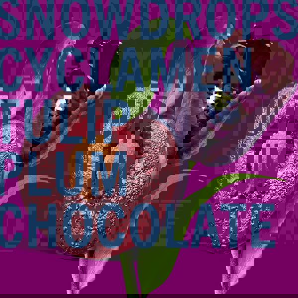 Shay & Blue Black Tulip Eau de Parfum Spray 10ml - Additional 2