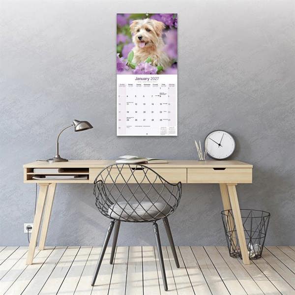 Norwich & Norfolk Terrier Calendar 2027, Wall Calendars, Month To View, Dogs, Gift