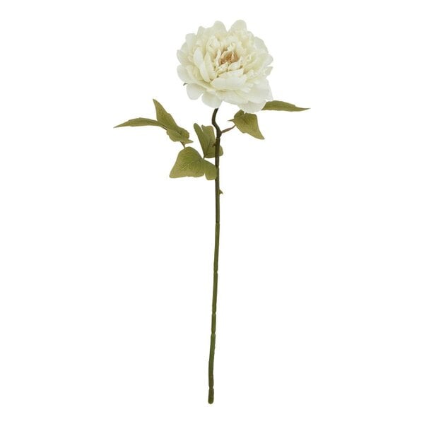 Wyld Haus Set of 3 Artificial Flowers Cream Peony Stem
