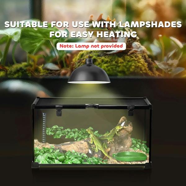 Black glass terrarium with lamp-ready top, containing plants and rocks