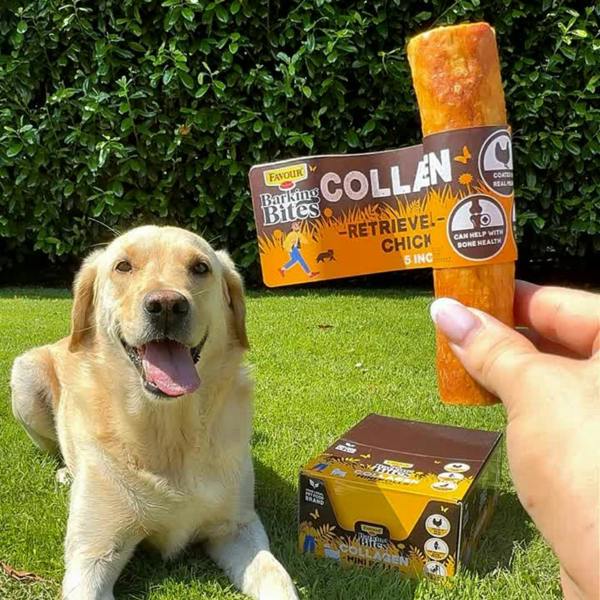Favour Collagen Chicken 5" Retriever Rolls 55g