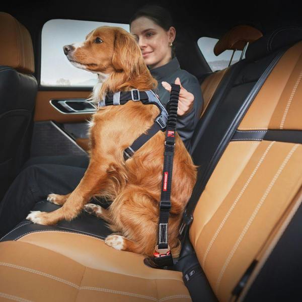 EzyDog Click Zero Shock Dog Seatbelt