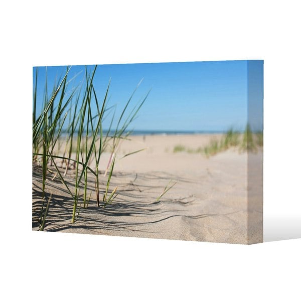 Benjamin Tate Design Grass in the sand dunes with the lake in the background (Canvas Print)