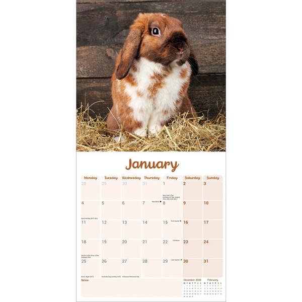 Lop-Eared Rabbits Calendar 2027, Wall Calendars, Month To View, Animals, Gift