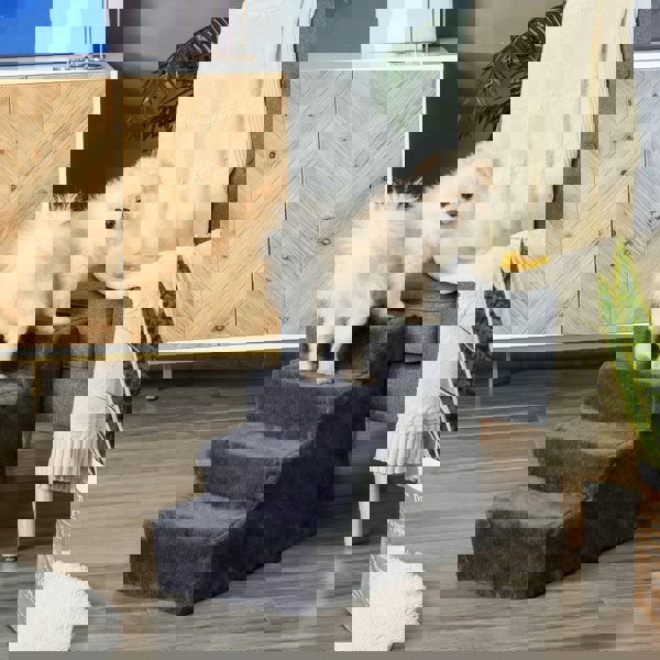 D06-091V00CG