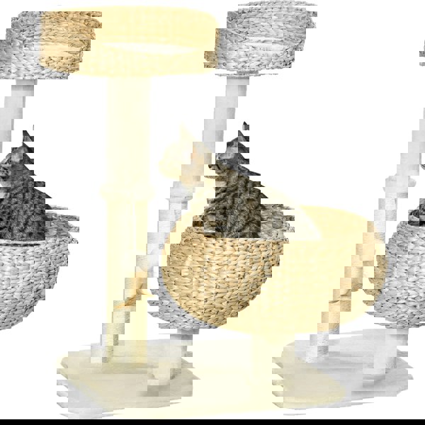 D30-636V70BG