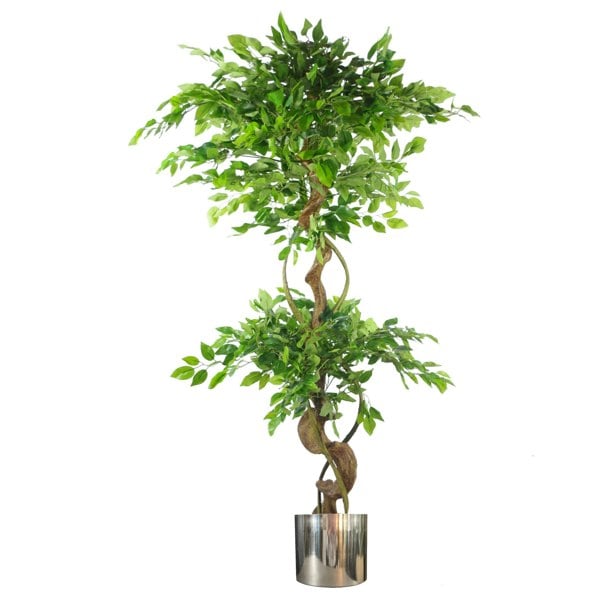 Leaf 150cm Twisted Trunk Artificial Japanese Fruticosa Ficus Tree Silver Planter