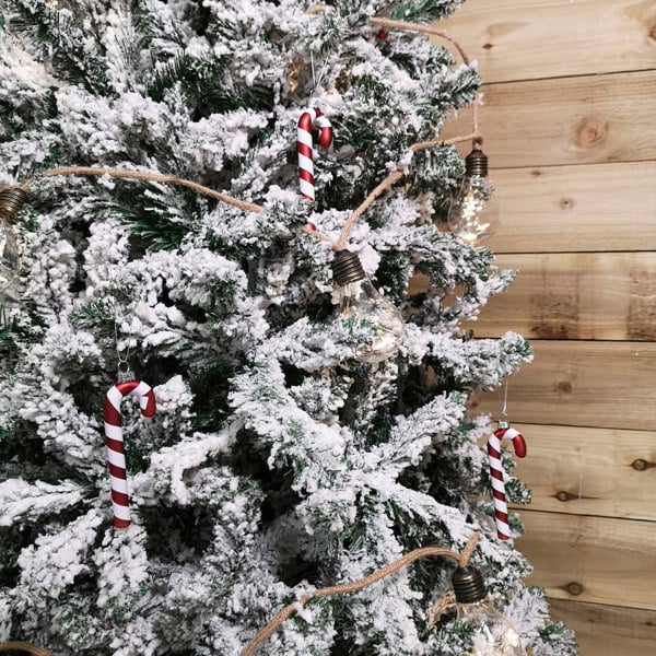 Samuel Alexander Set of 6 12cm Glass Red and White Stripe Candy Cane Christmas Tree Decorations