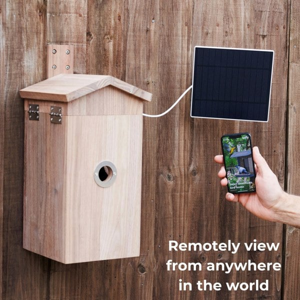 Callow Retail Walnut smart bird house and Camera with Solar Panel