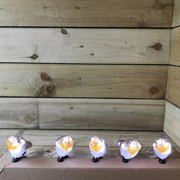 Samuel Alexander 5 Acrylic Indoor Outdoor Robin Christmas Lights with 30 Ice White LEDs