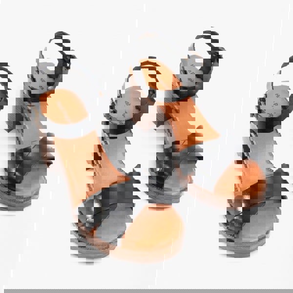 1645620365-77576200.jpg