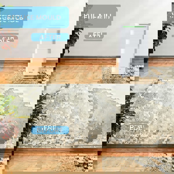 Air Pro WiFi Dehumidifier Clothes Dryer Mould Remover - 2L Water Tank 12L /Day