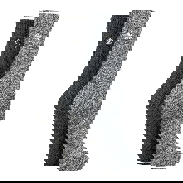 t4option1_1