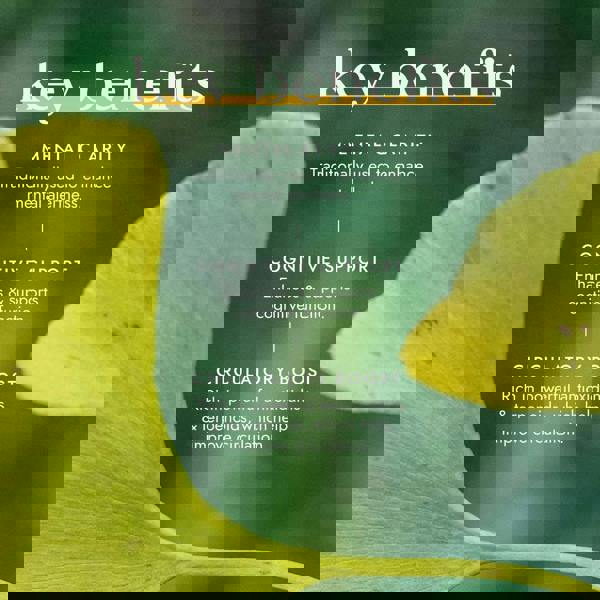 Fushi Single Herb Supplements Organic Ginkgo Biloba x 60 Capsules - Additional 3