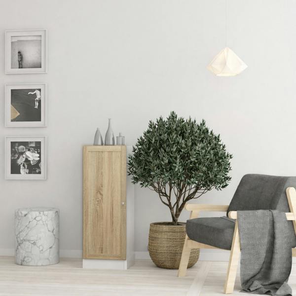 Furniture To Go Basic Low Narrow Storage Cabinet in White (2 Shelves) with Oak Door