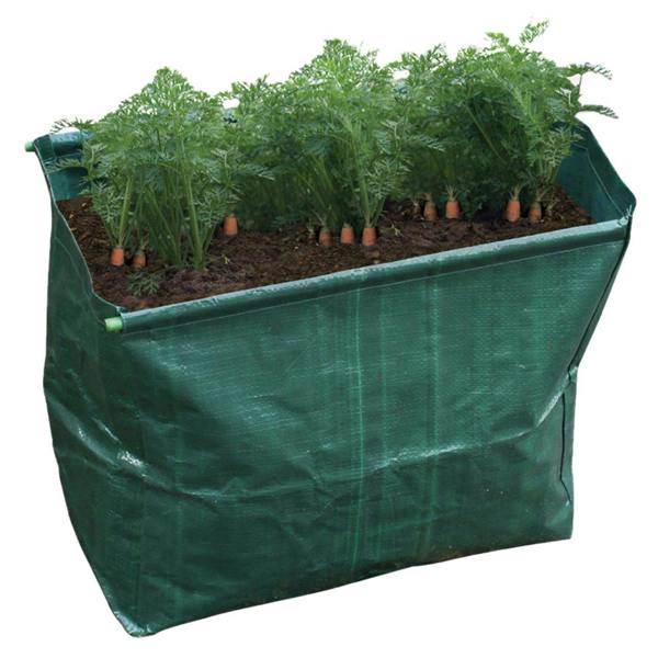 Scotts of Stow Carrot Planter - Pack of 2