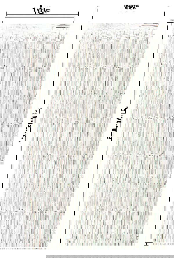 Cheetah Shimmer Tinsel Curtain, 3M x 1M Silver