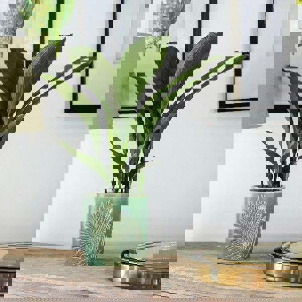 #color_olive