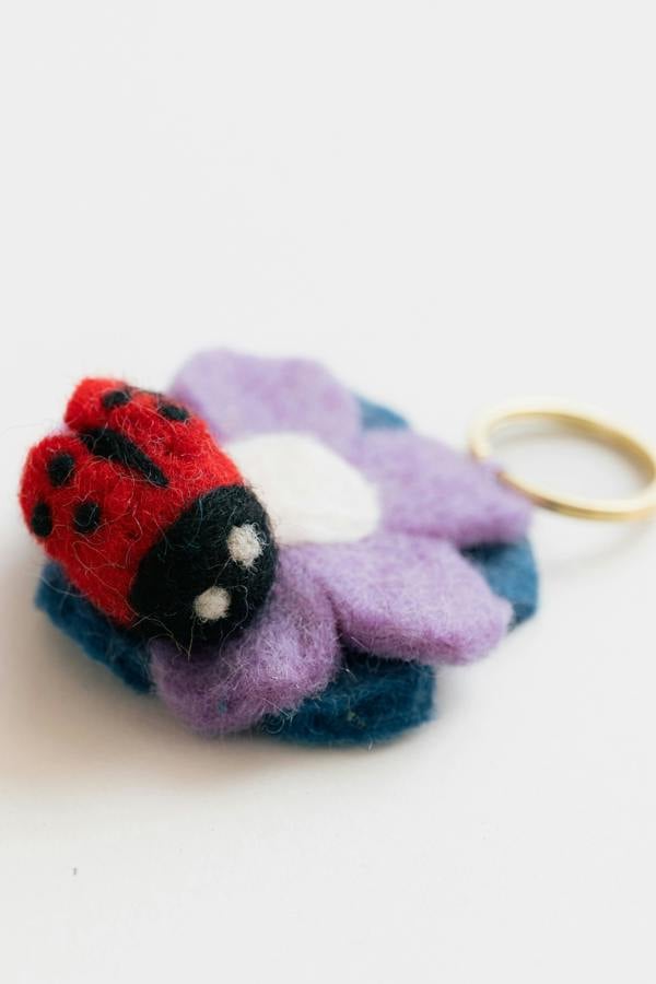Lily & Me Lucy The Ladybird Bamboo Socks And Decoration Giftbox