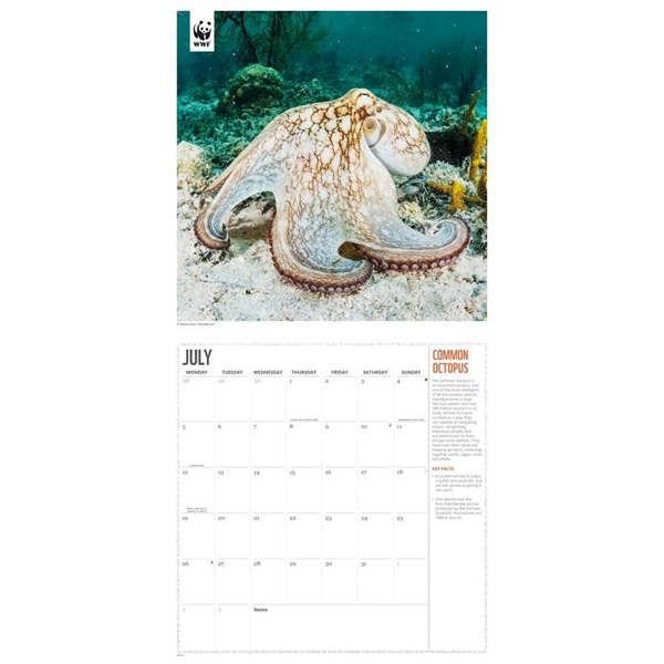 WWF, Oceans Calendar 2027, Wall Calendars, Month To View, Animals, Gift