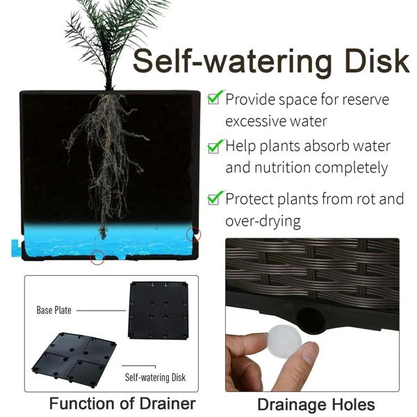 Raised planter with self-watering disk and drainage holes feature illustration
