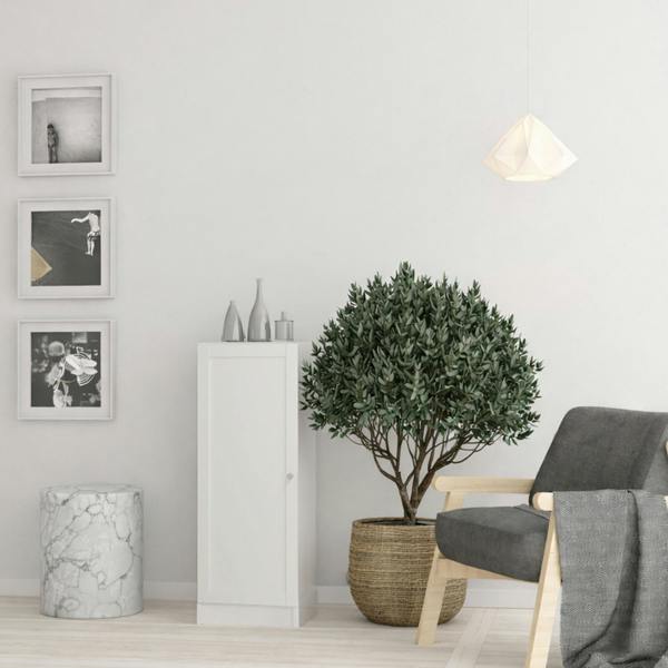 Furniture To Go Basic Low Narrow Storage Cabinet in White (2 Shelves) with White Door