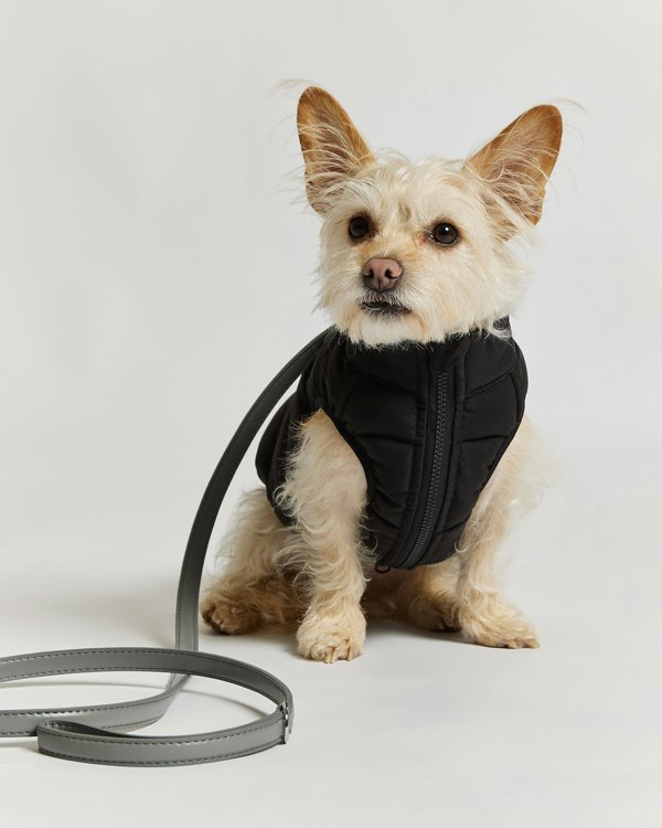 Barc London Reversible Dog Puffer Jacket - Black & Off White