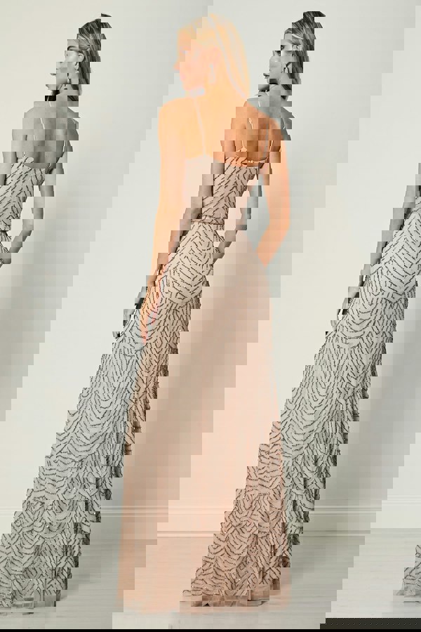 Cami Sequin Stripe Embellished Maxi Dress in Cameo Rose - ANGELEYE