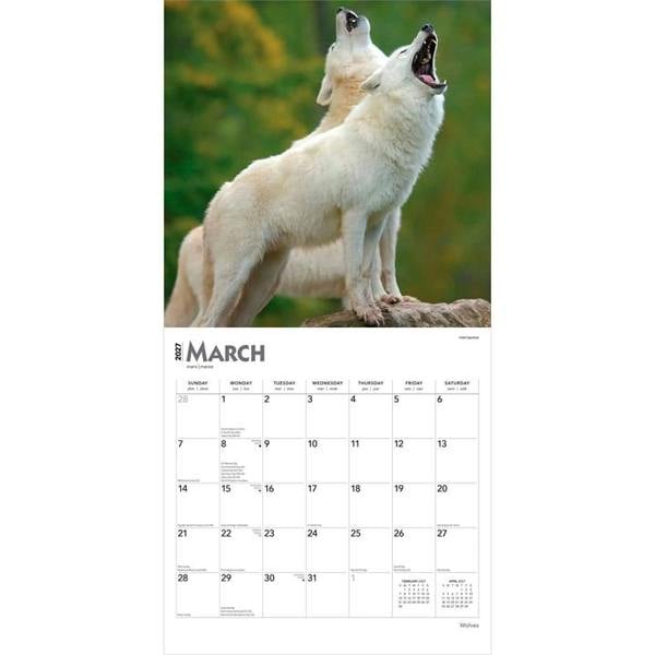 Wolves Calendar 2027, Wall Calendars, Month To View, Animals, Gift