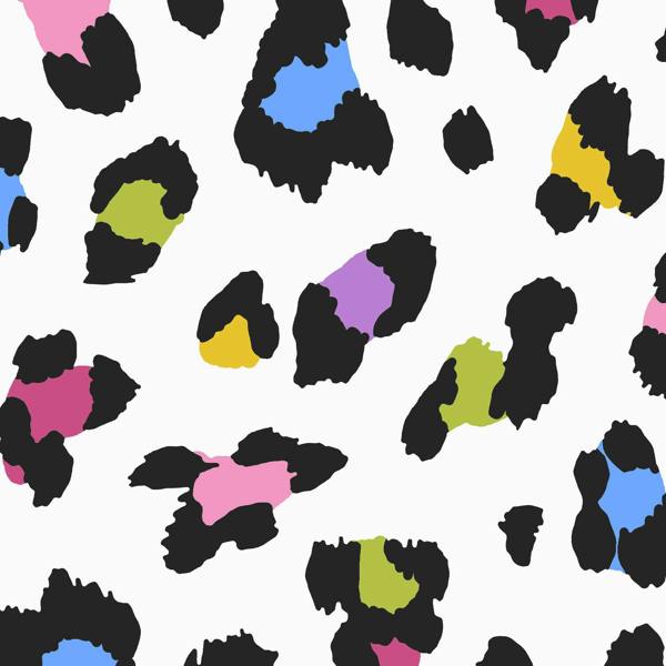 Envy Big Cat Wallpaper - Confetti - 10m