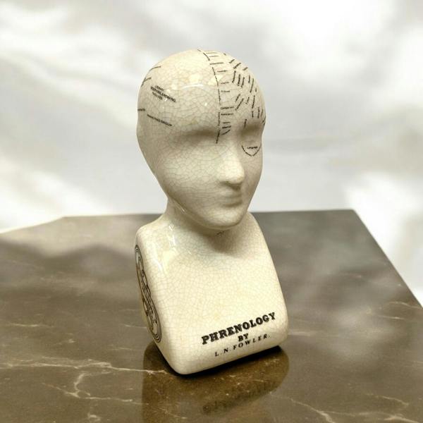6" PHRENOLOGY HEAD
