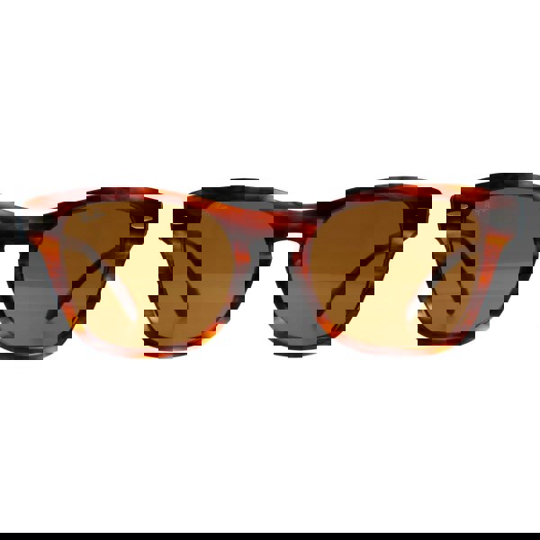 Ray-Ban Sunglasses RB0707S 954/33 Striped Havana Brown