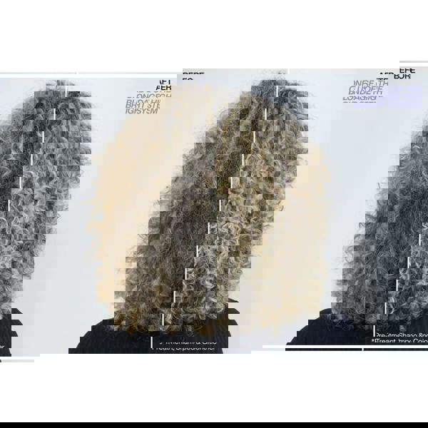 Redken Blondage High Bright Conditioner 300 ml