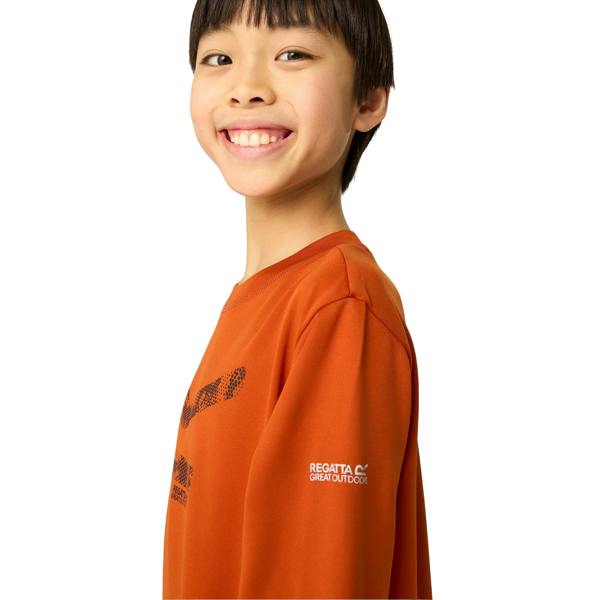 Regatta Childrens/Kids Alvarado Big Logo T-Shirt - Rooibos Tea - 