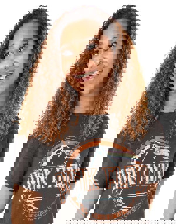 Amplified Clothing Womens Grey Pink Floyd Cropped Short Sleeved T-Shirt