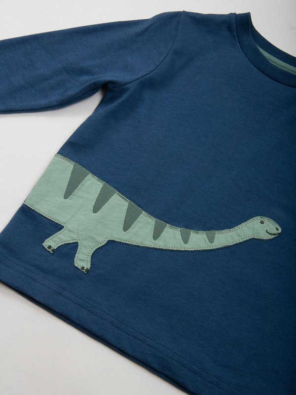 Kite Boys Organic Dippy Dino T-Shirt