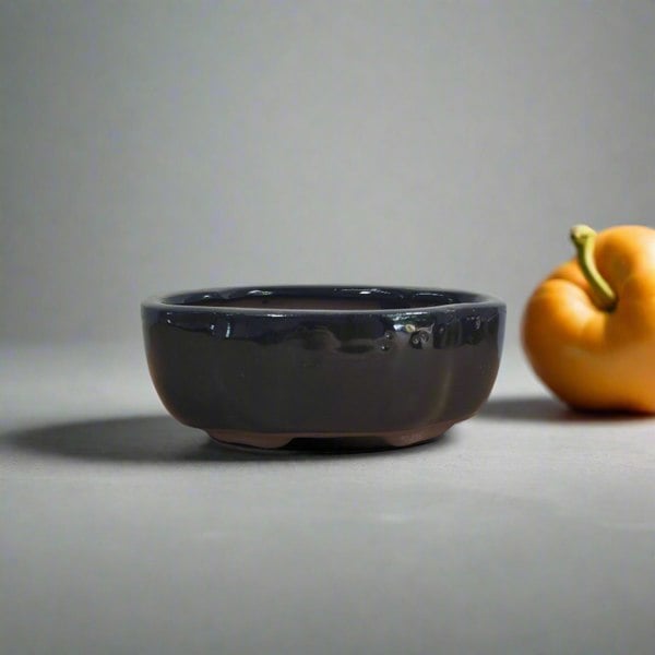 Yorkshire Bonsai 12cm Glazed Bonsai Pot | Floral | 12cm x 10cm x 5cm | Black